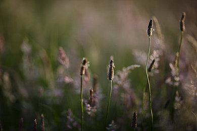 《喋血街头2》重制版开启众筹 将追加新故事以及任务